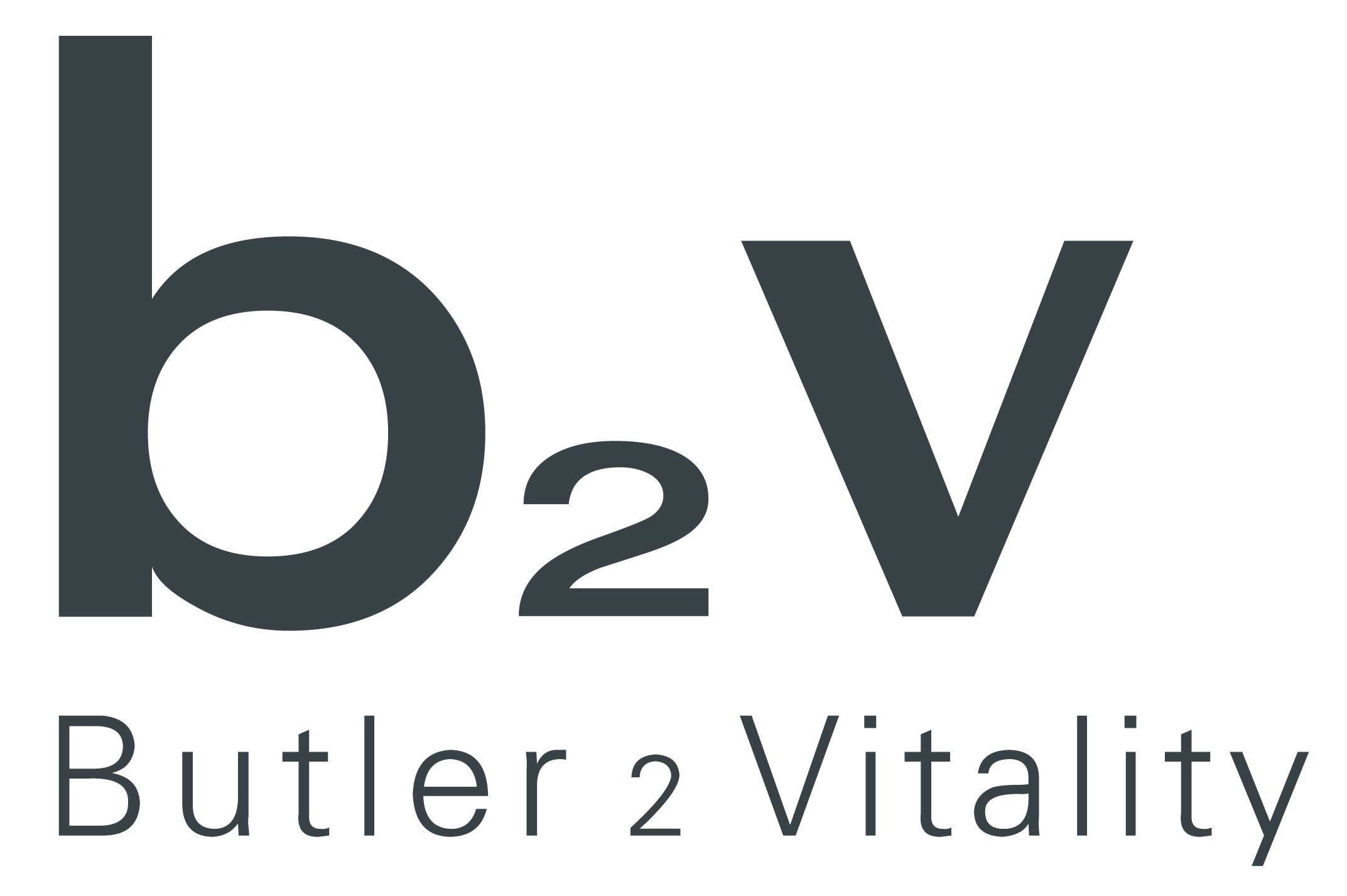 b2v